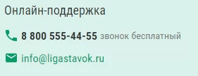 Поддержка Лиги Ставок